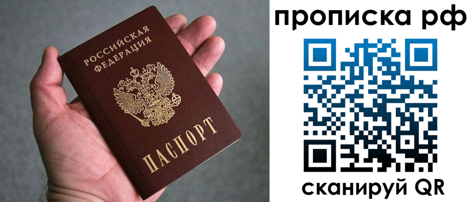 прописка поиск в Ногинске